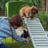 Sky kaniner vil elske det beskyttede område under platformene, hvor de kan nyde en lur eller en lækker godbid!