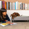 Hund undersøger en piges bog, på en Omlet Topology hundeseng med quiltet topmadras og sorte ben