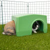 Zippi shelter kanin grøn