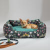 Chihuahua ligger i en Omlet rede-seng i Midnight Meadow-mønsteret