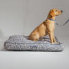 Hund på en designer pude til hundeseng med matchende halsbånd og snor i Contour Grey-design
