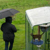 Ejer med paraply ved siden af kat i en løbegård med klar overdækning