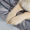 Detaljer med poter på en Omlet hunde-rede i Grey Contour-mønster
