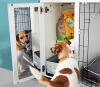 Fido Studio spejl lader dine hunde reflektere over deres dag!