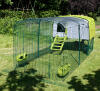 Grøn Eglu Cube hønsehus med løbegård og klar overdækning i haven