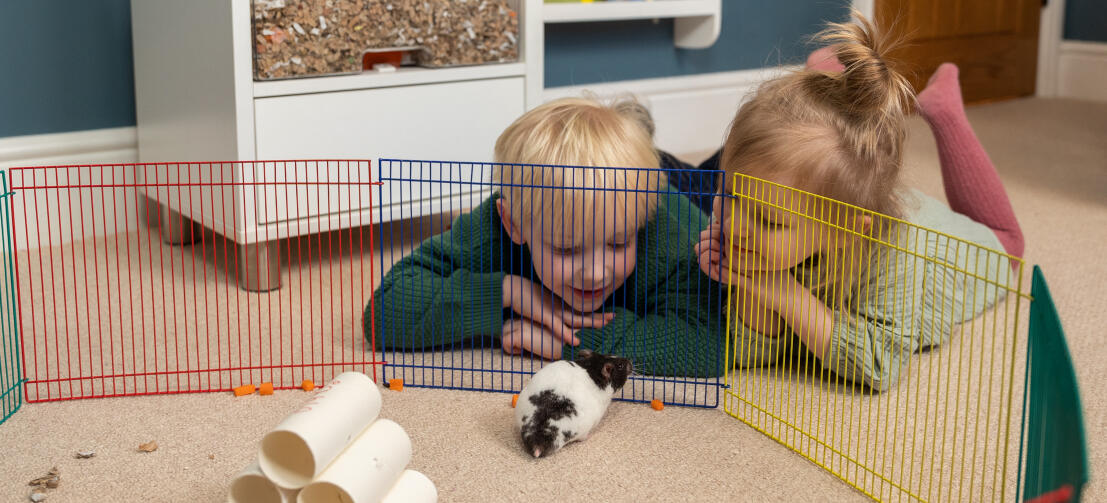 To børn ligger ned og ser på deres hamster i en farverig legegård.