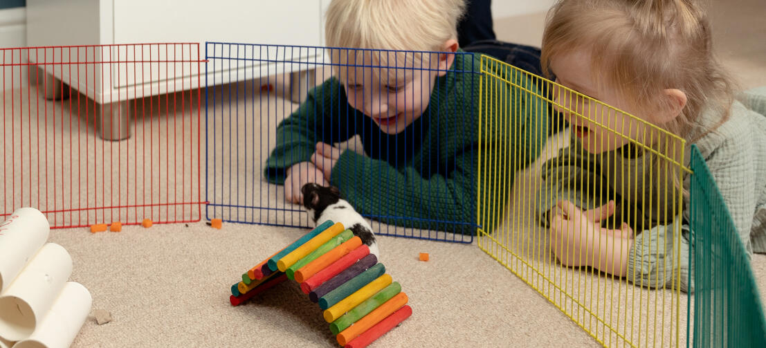 To børn ser på en hamster i en legegård med farverigt legetøj.