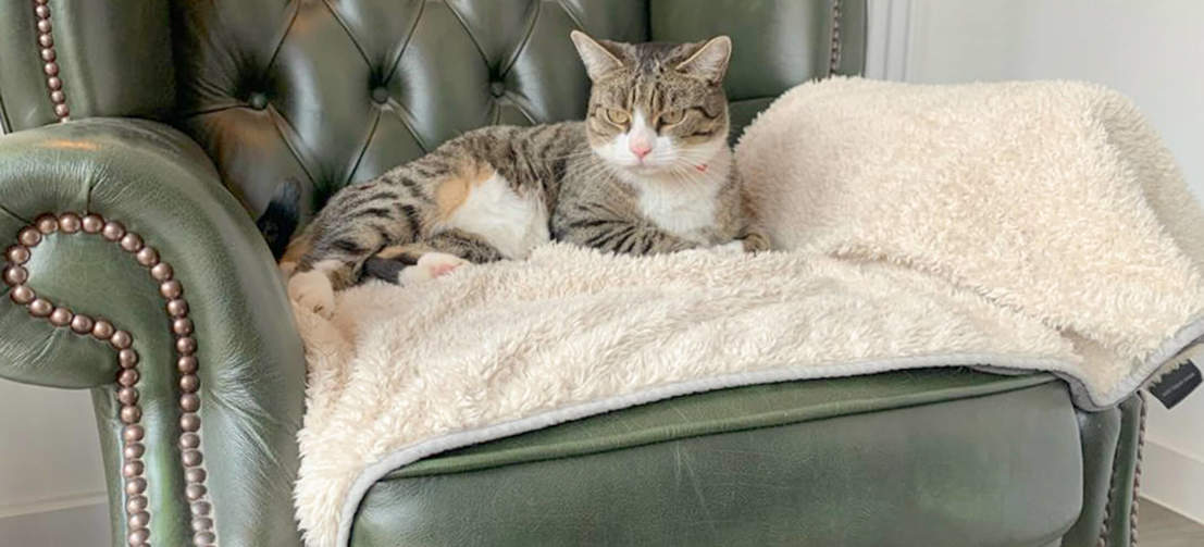 Katte vil elske at slappe af på dette luksus superbløde tæppe og tage en lang eftermiddagslur.