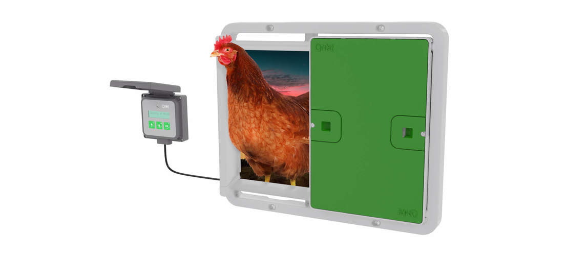 Omlet hønsehus med automatisk dør