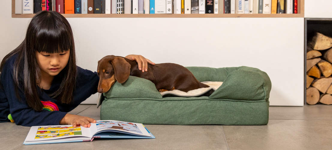 Hund undersøger en piges bog, mens den ligger i salviegrøn memoryskum hundeseng med støttekant.