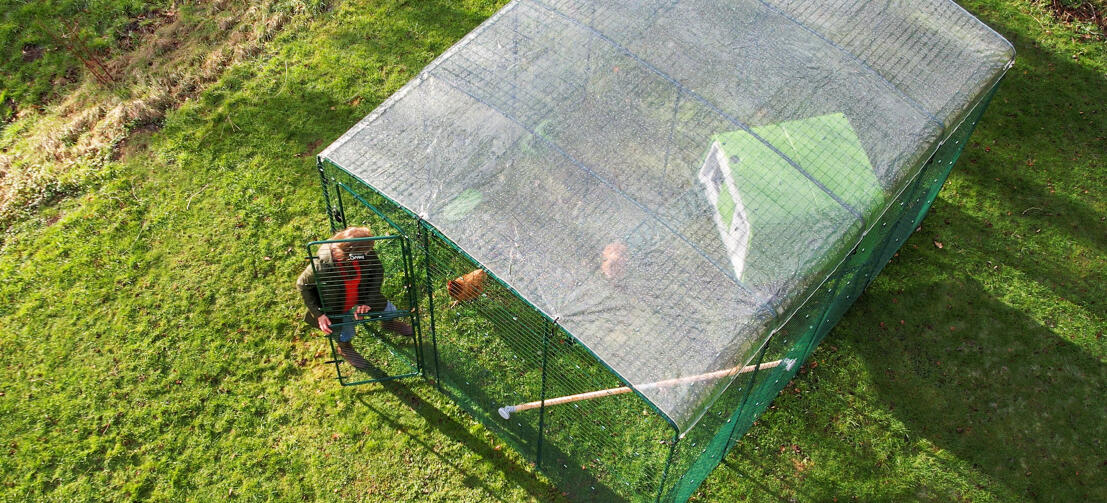 Overheadfoto af ejeren, der går ind i sin hønsegård med et klart overtræk på toppen