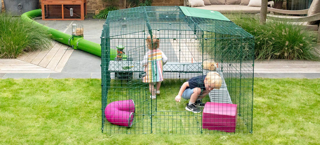 Zippi platforme byder på sjov for hele familien og en ny måde for alle at lege og tilbringe tid sammen med deres marsvin på.