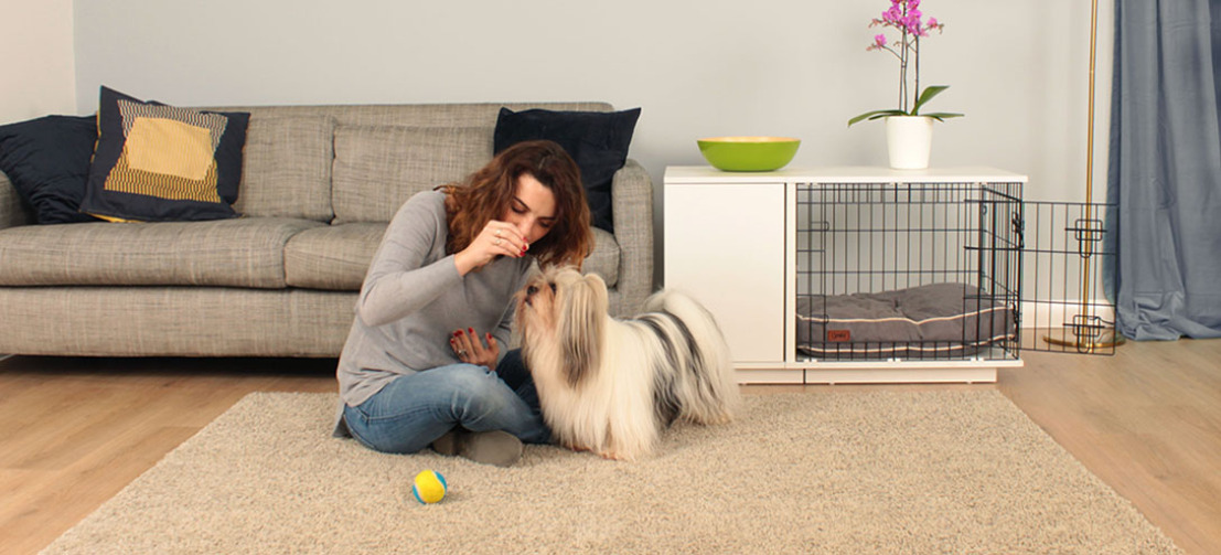 Du og din hund kan begge være stolte af jeres Fido Studio Du og din hund kan begge være stolte af jeres Fido Studio
