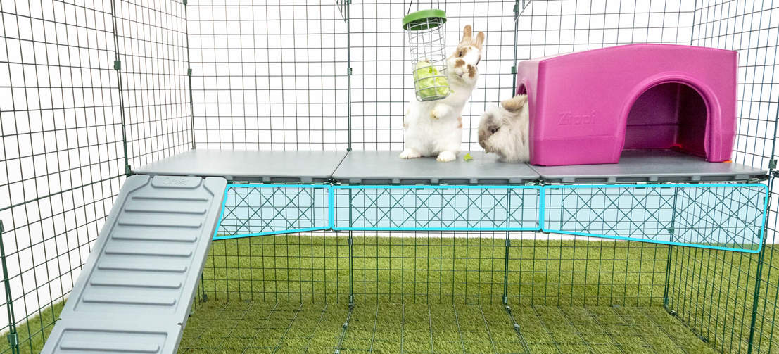 Zippi platforme leveres med stærke stålwire støtterammer for at sikre, at de ikke bukker eller bøjer sig, når dine kaniner befinder sig på dem.
