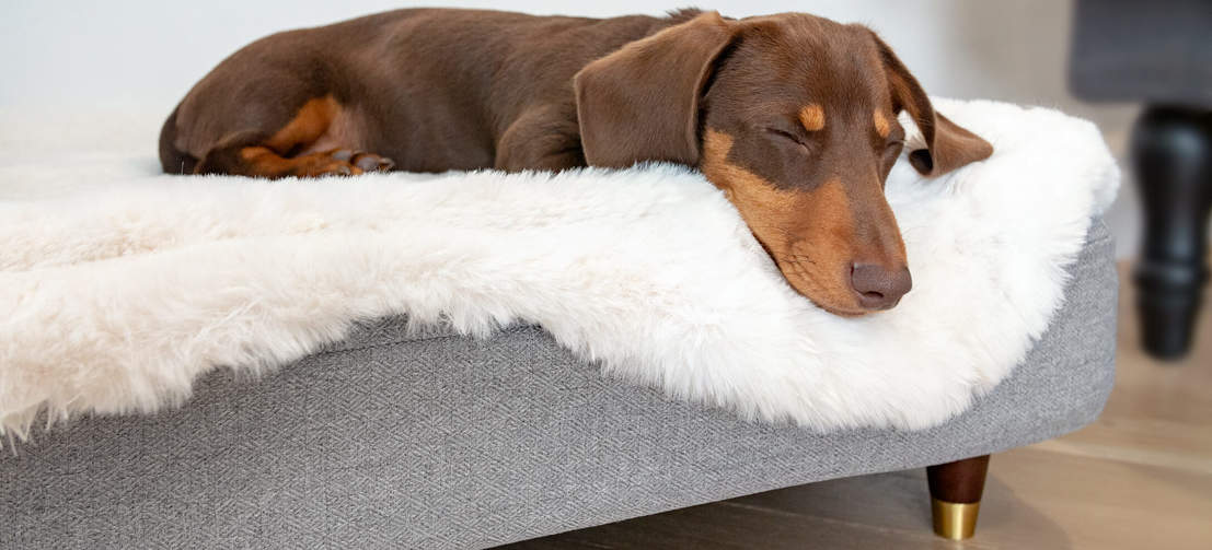 Vælg mellem en række forskellige sengeben at hæve din hundeseng op på for et ekstra stilfuldt touch, der vil komplementere resten af dine møbler perfekt.