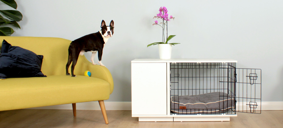 Din hund vil være stolt af sit Fido Studio Din hund vil være stolt af sit Fido Studio