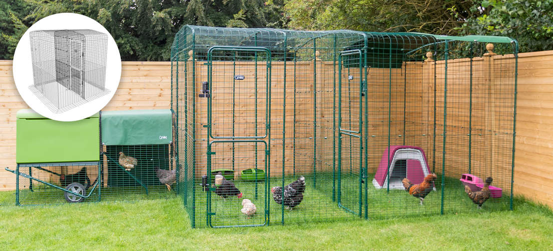 en walk-in løbegård i en have med høns indeni og en walk-in løbegård skillevæg