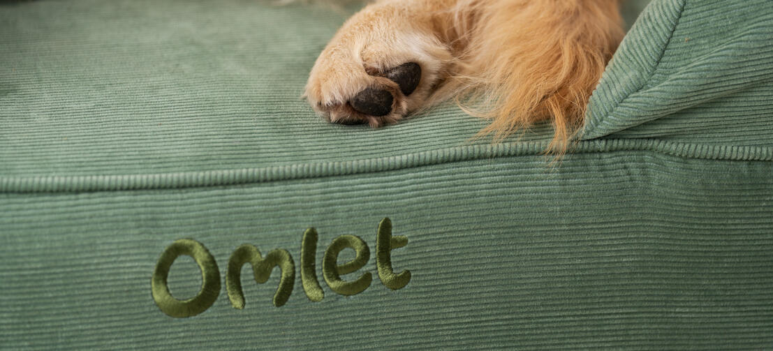 Nærbillede af hundens fødder på en behagelig og rengøringsvenlig Omlet hundeseng med støttekant
