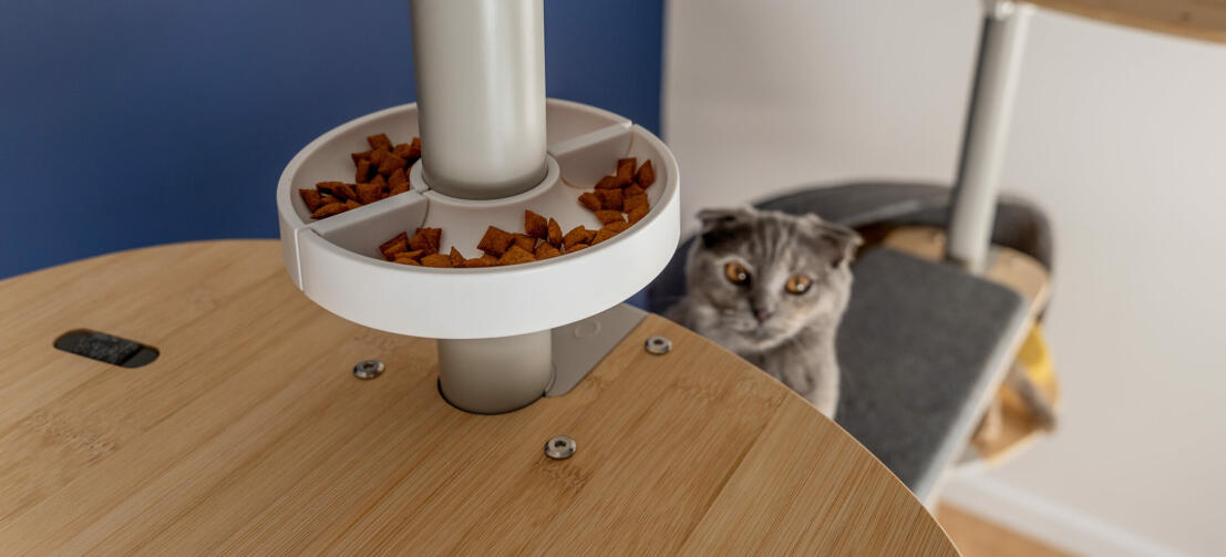 Kat kigger på Freestyle gulv til loft kattetræ Godbidskasse