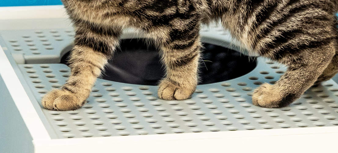 kattebakke | Hygiejne til dine i møbelstil | Omlet