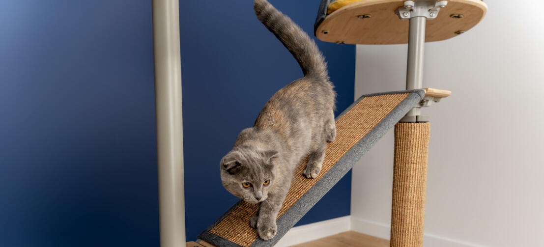 Kat på Freestyle indendørs gulv til loft kattetræ platform med udskiftelig sisal