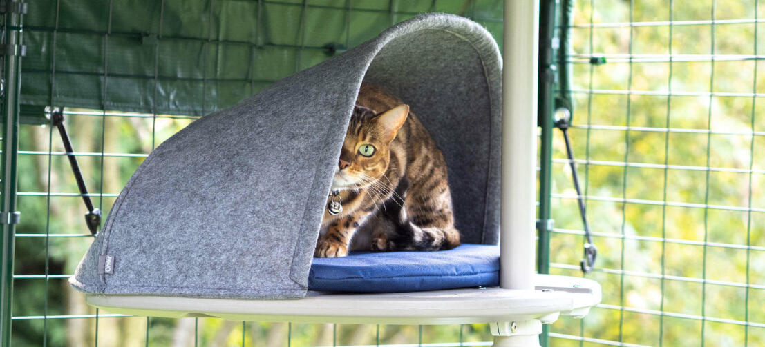 Katte, der leger skjul i hulen, tilbehør til det udendørs Freestyle kattetræssystem