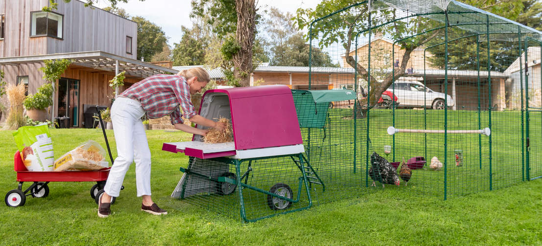 Det er virkelig praktisk at Eglu Go UP hønsehuset er hævet, og dine høns vil elske at sidde og sove oppe over jorden.