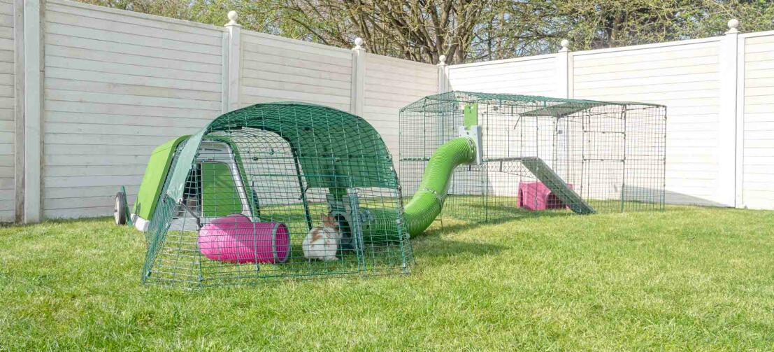 Have med en grønt kanin Eglu Go kaninhus, udendørs kanin walk-in løbegård og Zippi tunneler til kaniner