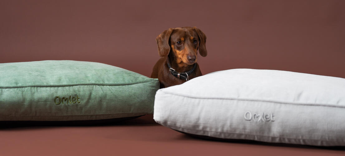 En pølsehund mellem hundesenge med Corduroy Moss- Corduroy Pebble-prints