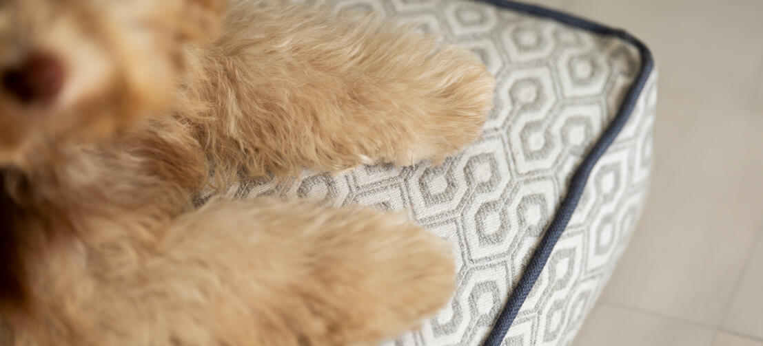 Nærbillede af pudehundesengen med Honeycomb Slate-print
