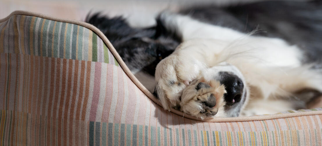 Mønsterdetalje af den støttende og komfortable Omlet rede-seng til hunde