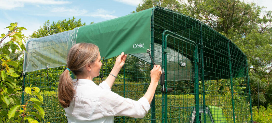 Dame fastgører Omlets betræk på Omlets walk-in hønsegård