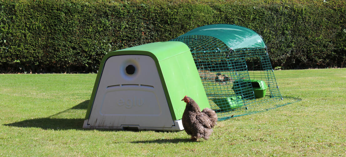 Takket være den dobbelte vægisolering holder Eglu Go hønsehuset dine høns køligt om sommeren og varmt om vinteren