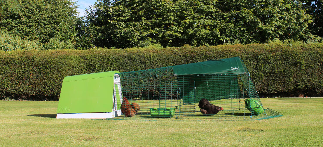 En Eglu Go hønsehus med løbegård i en have med to høns