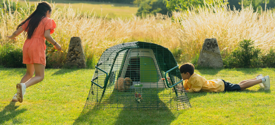 Børn leger i haven og interagerer med deres kanin gennem løbegårdens net.