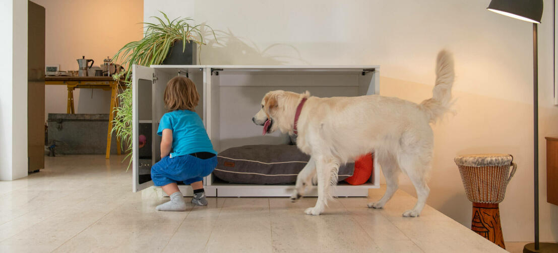 Fido Nook Lux ury hundekasse garderobeskab holder hundefoder, snor og tøj i orden