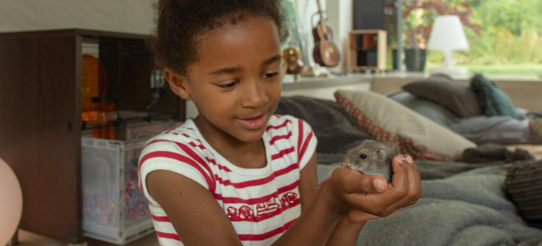 Børnene elsker Qute hamsterburet Børnene elsker Qute hamsterburet