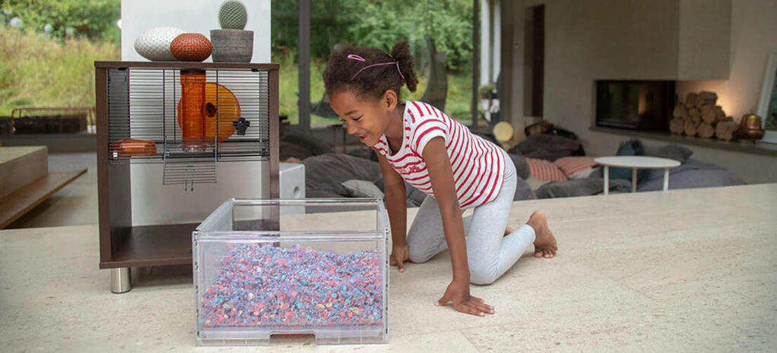Et barn kigger på en hamster i et bur i en gravekasse i et Qute hamsterbur Et barn kigger på en hamster i et bur i en gravekasse i et Qute hamsterbur