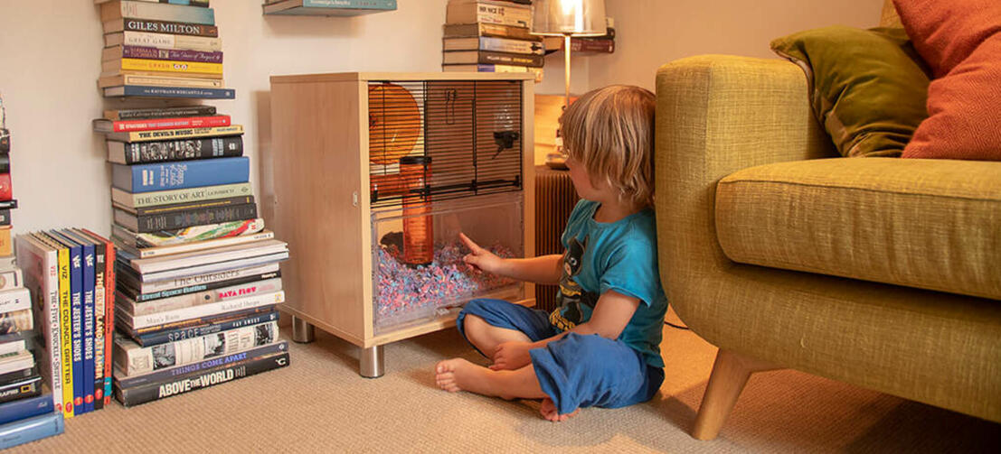 Et barn, der kigger på en hamster i et Qute hamsterbur