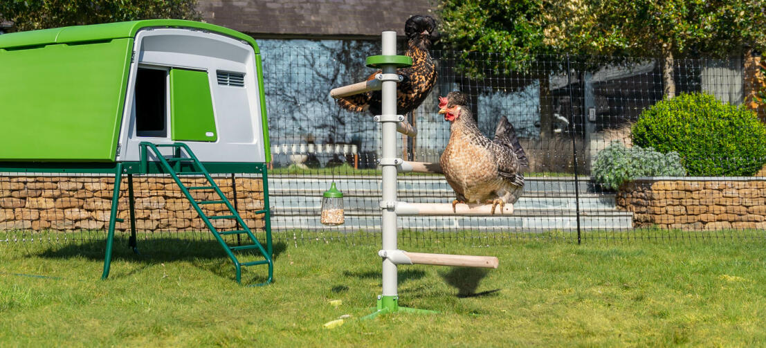 Solrig have med en stor hønsegård Eglu Cube og en fritstående universalhønsestolpe inden for Omlet hønsehegn
