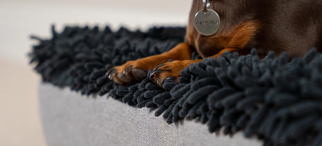 Teckel i en grå mikrofiber topmadras til den vaskbare Topology hundeseng