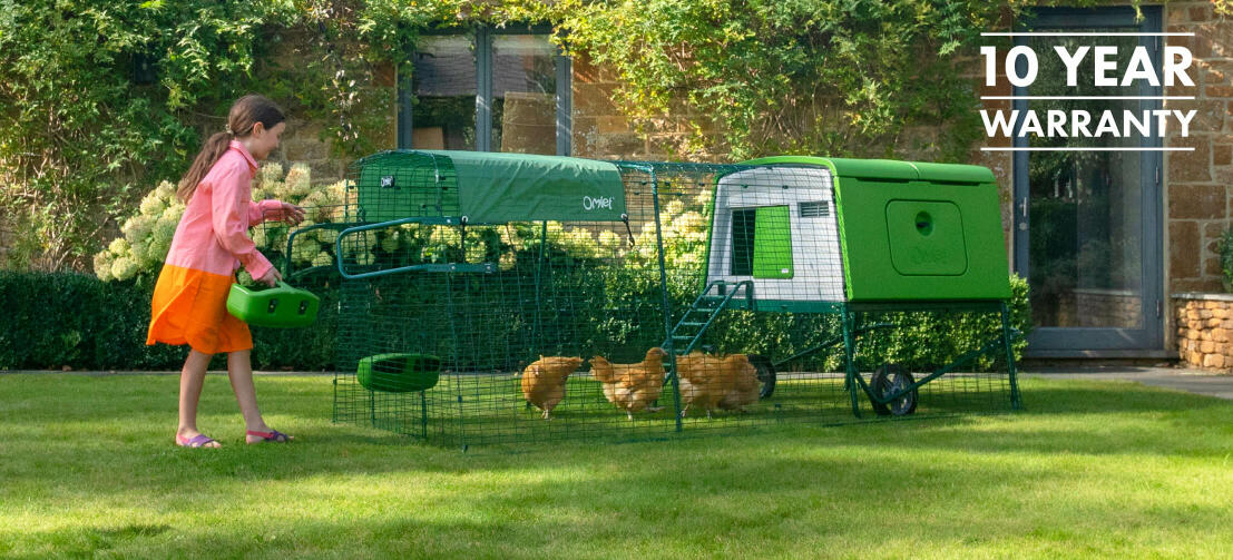 visuel Bogholder betyder Store Eglu Cube hønsehuse og hønsegårde | Hønsehus der er let at rengøre |  Omlet