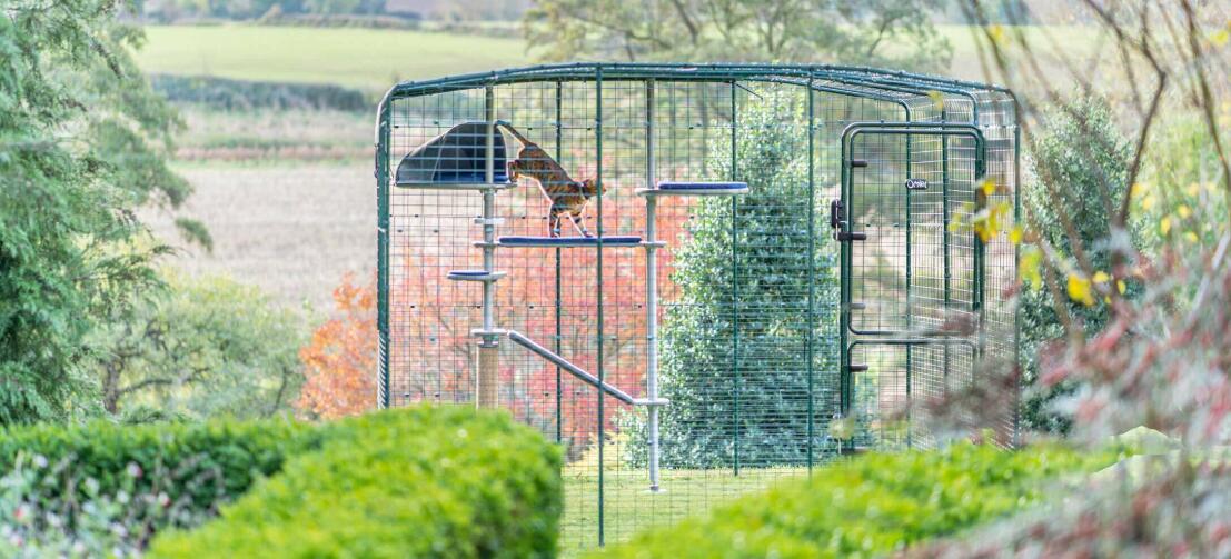 Katten leger på det vandtætte Freestyle udendørs kattetræ inde på Omlet catio Katten leger på det vandtætte Freestyle udendørs kattetræ inde på Omlet catio