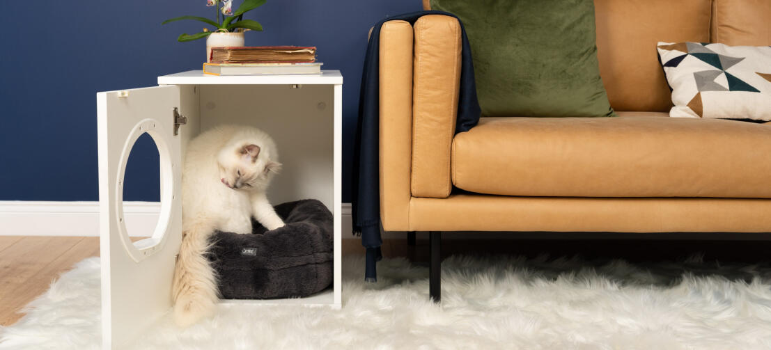 Sød hvid fluffy kat sidder inde i Maya indendørs kattehus på en sort Maya donut katteseng ved siden af sofaen
