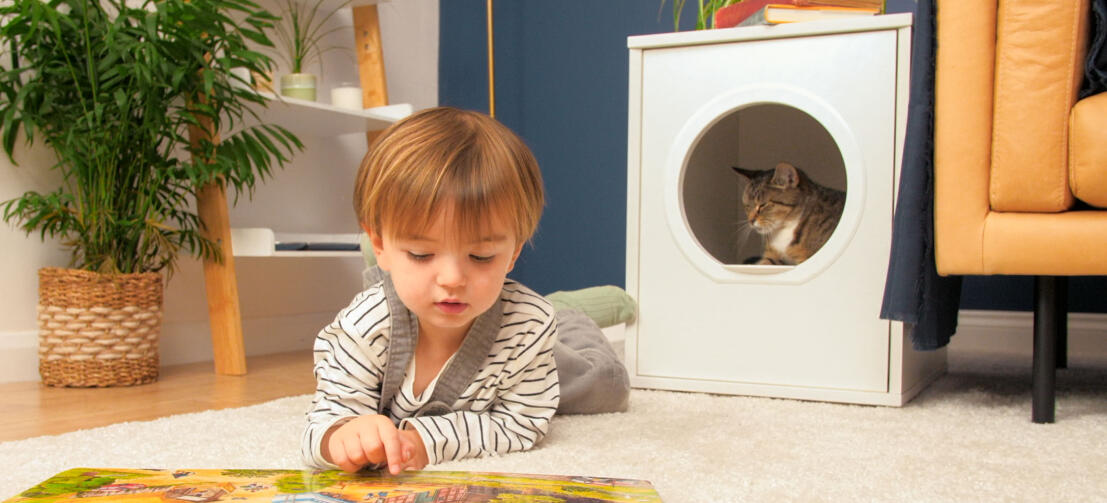 Sød kat i Omlet Maya kattehus med barn, der ligger foran og læser en bog Sød kat i Omlet Maya kattehus med barn, der ligger foran og læser en bog