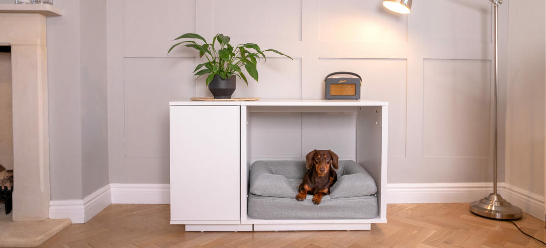 Hund ligger i sin Topology hundeseng med topmadras med støttekant i et Fido Nook hundebur