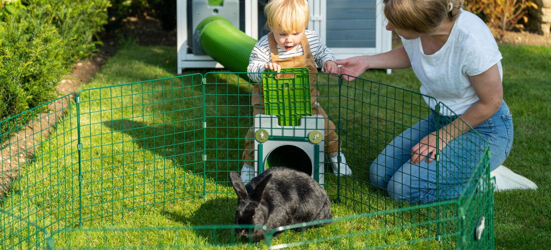 Familie, der leger med deres kanin i en Zippi legegård.