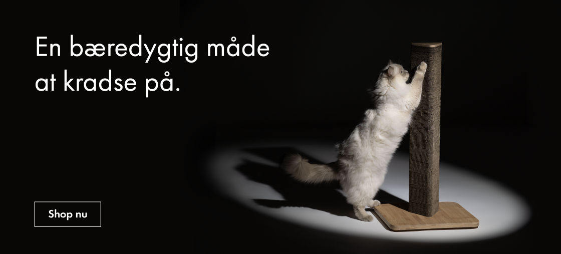 Stak kradsetræer til katte