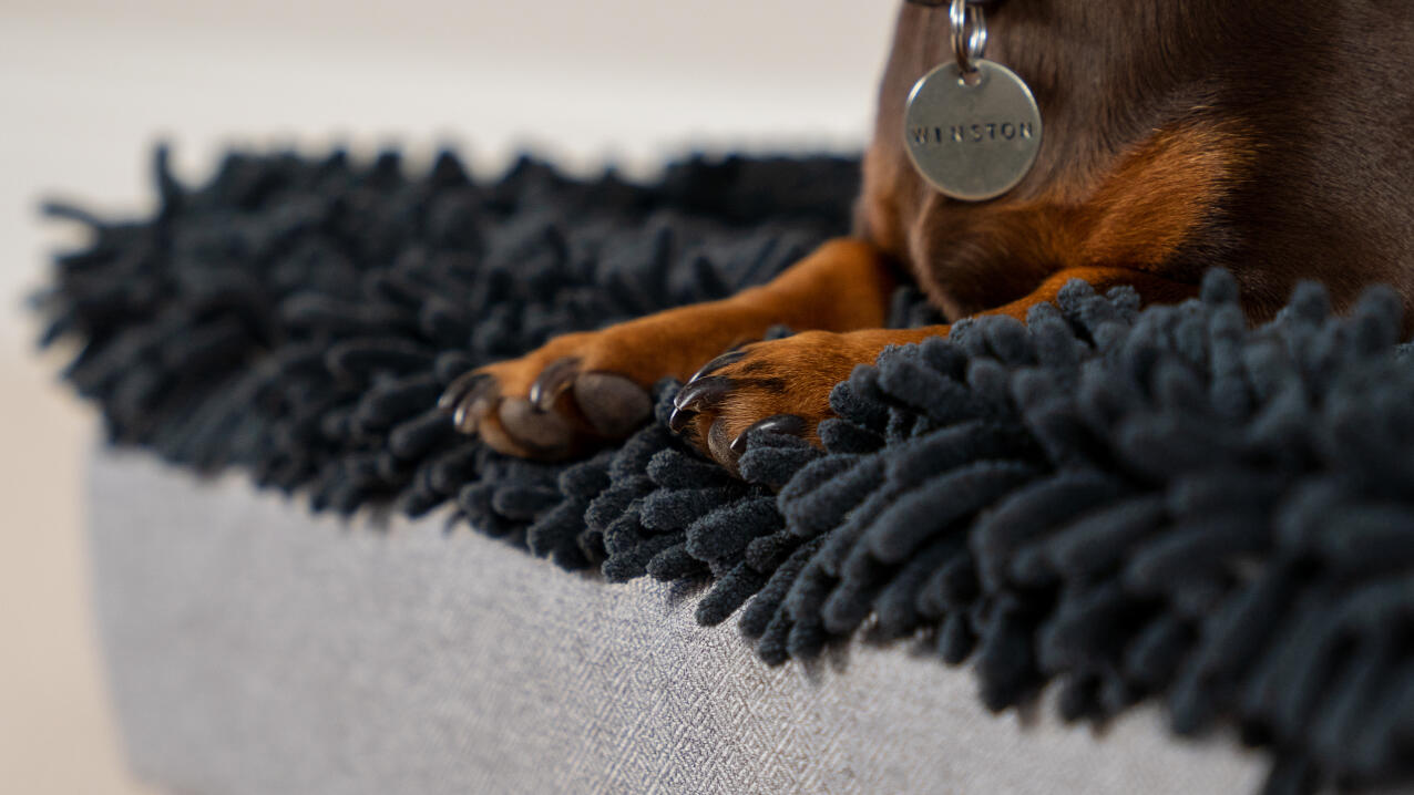 Detalje af poter på en grå mikrofiber-top på en Topology hundeseng