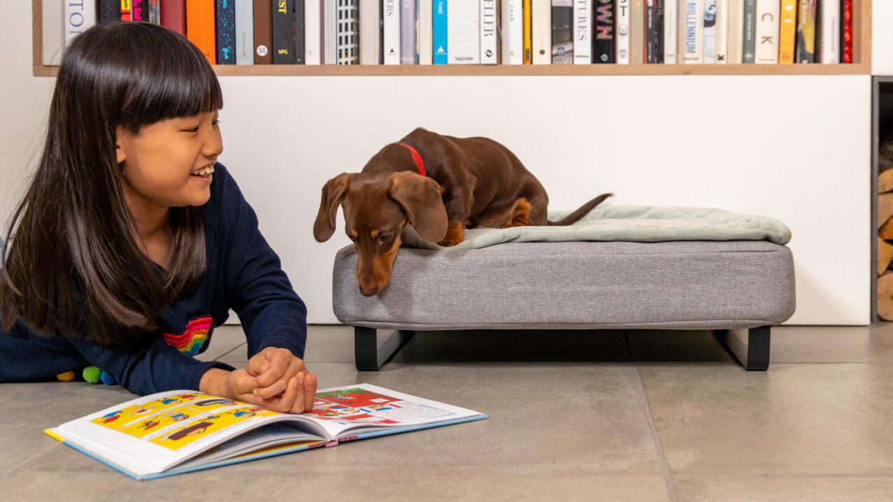 Lille pige læser en bog ved siden af en pølse på en Topology hundeseng